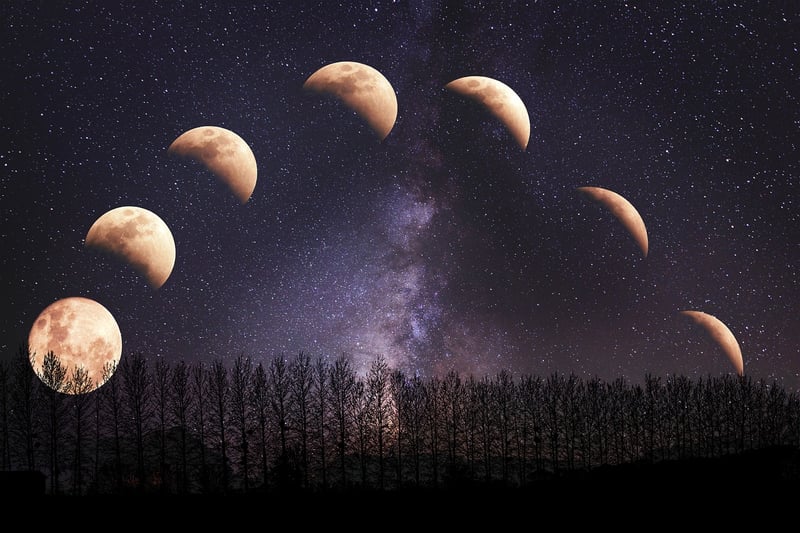 Eclipse Favors