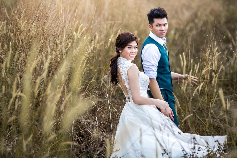 Celestial Wedding Dress